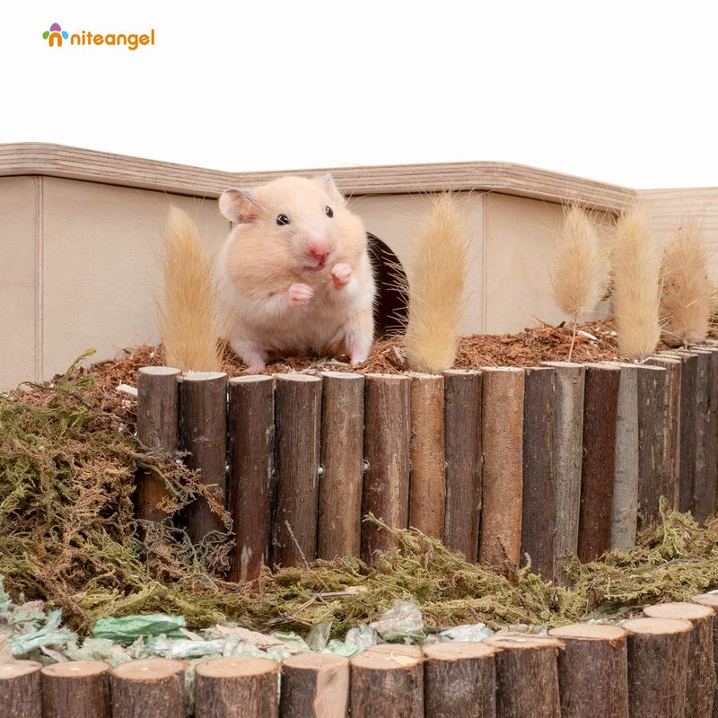 Niteangel Wooden Ladder Bridge, Hamster Mouse Rat Rodents Toy, Small Animal Chew Toy (11.8" x 5.9") - Image 2